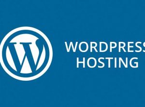 Reasons to Choose Managed WordPress Hosting