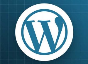 How to Install WordPress on Shared Hosting