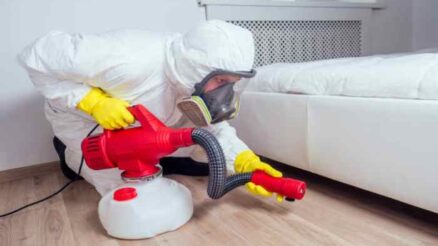 How Does a Bed Bug Exterminator Work?