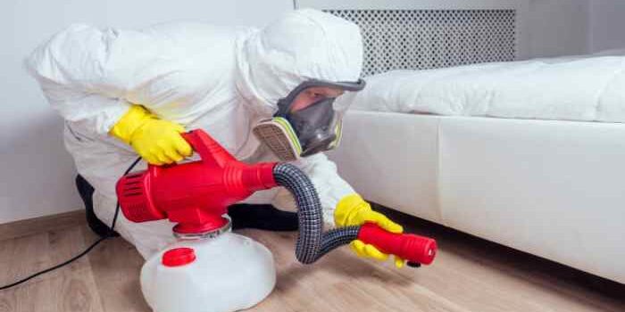 How Does a Bed Bug Exterminator Work