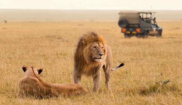 What To Consider When Planning A Luxury Safari In Tanzania